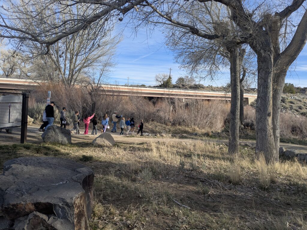 Students walking in a park