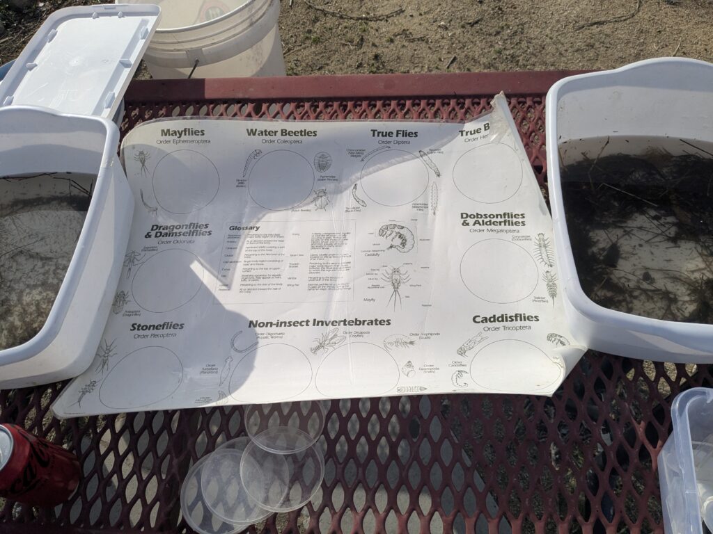 A chart on a picnic table