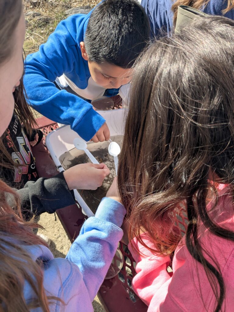 Students using spoons and magnifying glasses to observe insects.
